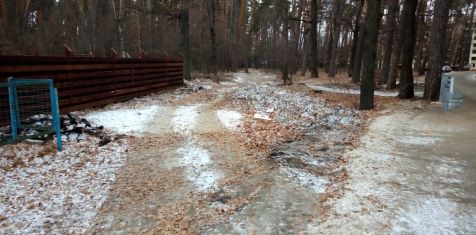 Официальный ответ по перекрытию дороги в Солотче