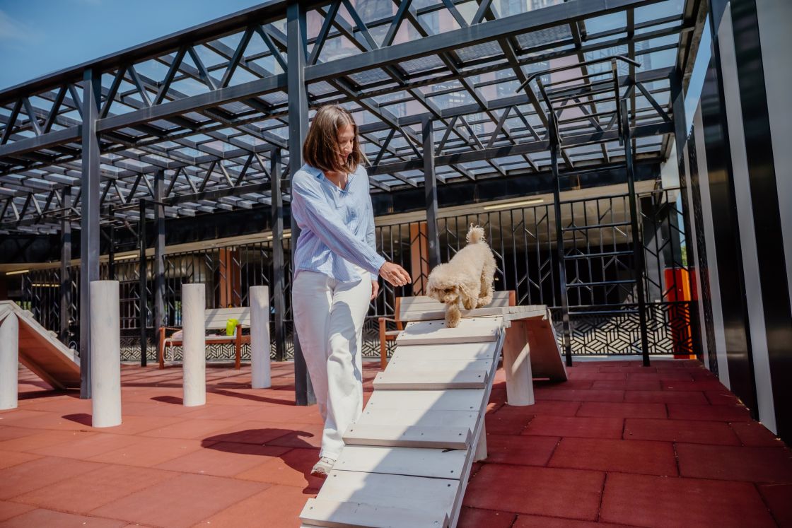 Мы заботимся о ваших питомцах!