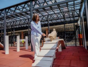 Мы заботимся о ваших питомцах!