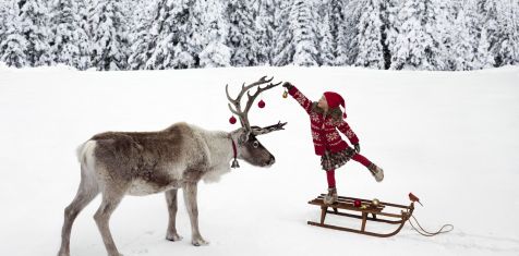 ГК «Зелёный сад» устроит во дворах новогодние праздники с катанием на оленях и подарками