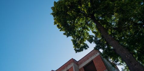 В ЖК Pride Park продолжается благоустройство территории