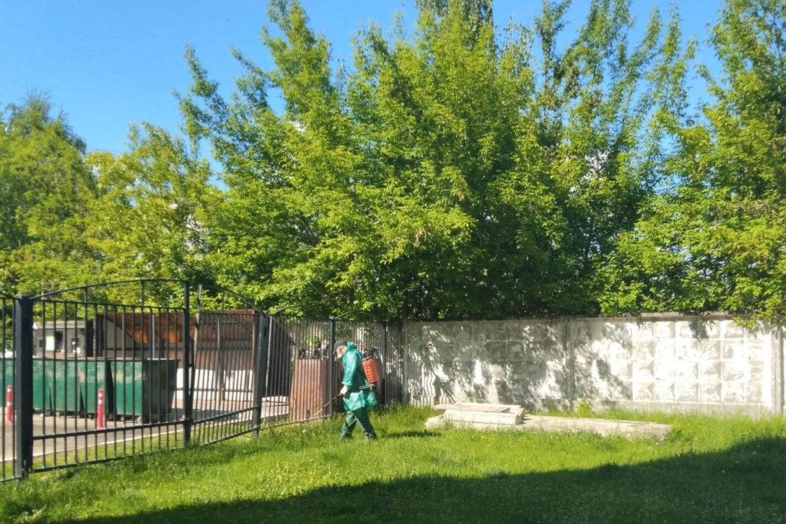 Клещи не пройдут!