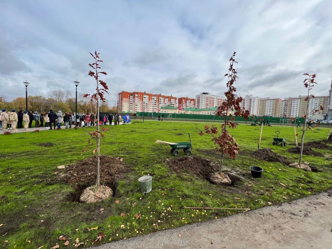 ГК «Зеленый сад» помогла высадить дубы в новом сквере в Песочне