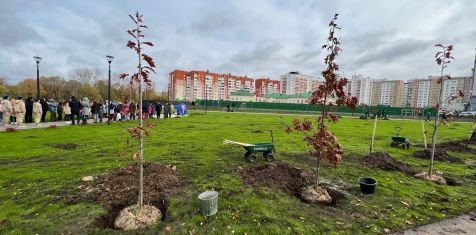 ГК «Зеленый сад» помогла высадить дубы в новом сквере в Песочне