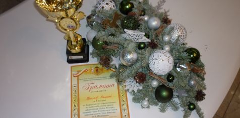 Валерий Фролов выиграл «Новогодний Кубок Рязани»