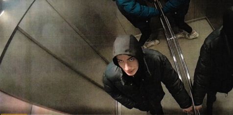 Система безопасности «Антитеррор» от «Зеленого сада» в действии