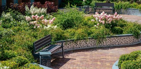 Во дворе ЖК Fresh Life облагородили растения