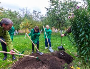 ГК «Зеленый сад» помогла обновить знаменитый сад в музее-усадьбе И.П.Павлова