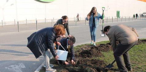 Строительная компания и гипермаркет вместе озеленяют Рязань