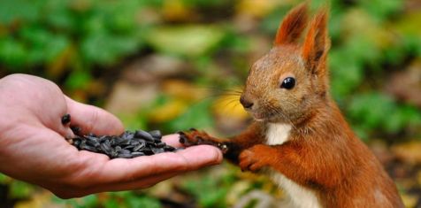 В ЖК Fresh Life установят бельчатник и каркасную лестницу с водопадом