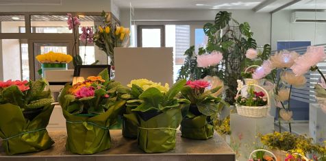 Офис ГК «Зелёный сад» украсила весенняя инсталляция