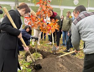 ГК «Зеленый сад» помогла высадить деревья в рамках проекта «Возрождение дубрав»