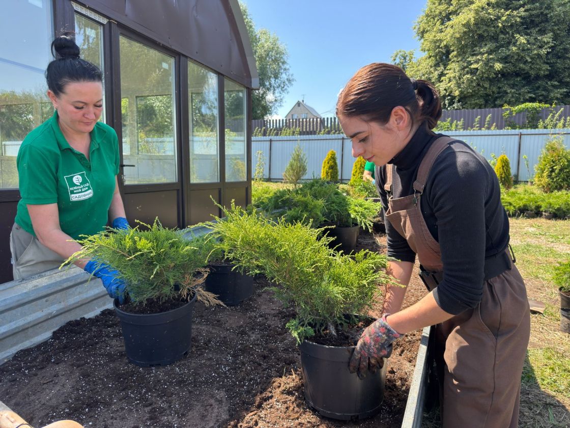 «Зелёный сад» готовит растения для озеленения ЖК «Гранд Комфорт» в Жуковском