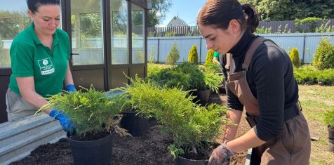 «Зелёный сад» готовит растения для озеленения ЖК «Гранд Комфорт» в Жуковском