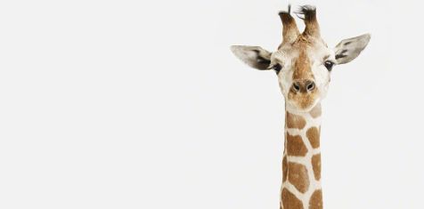 High Flat по цене обычной квартиры!