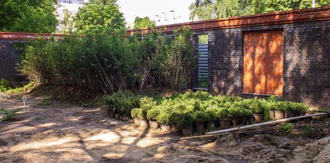 В Pride Park продолжается благоустройство и озеленение двора