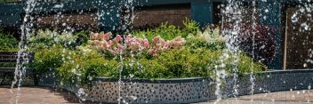 Зелёное лето в ЖК Fresh Life: садовники компании обновили изысканную форму растений на клумбах