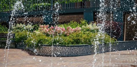 Зелёное лето в ЖК Fresh Life: садовники компании обновили изысканную форму растений на клумбах