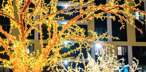 Дом «Зелёного сада» стал победителем всероссийского конкурса ТОП ЖК-2025