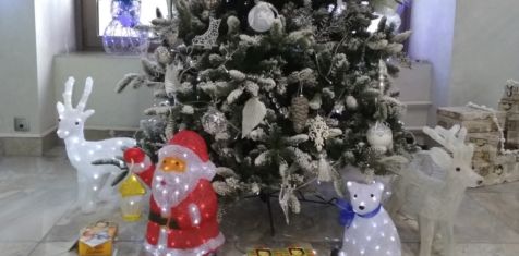 График работы офисов ГК «Зеленый сад» в новогодние и рождественские праздники