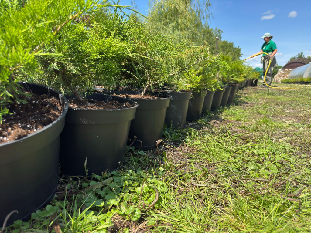 WhatsApp Image 2025-06-25 at 16.00.46.jpeg