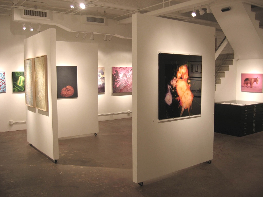 gallery.jpg